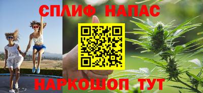 индика Гагарин