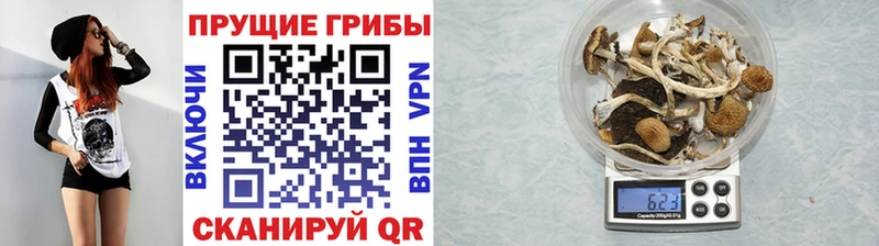 Псилоцибиновые грибы прущие грибы  Каменск-Шахтинский 