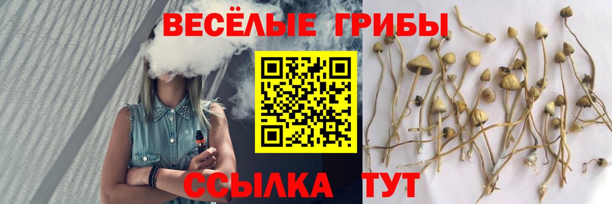 Псилоцибиновые грибы MAGIC MUSHROOMS  Псилоцибиновые грибы прущие грибы  Вход с VPN  Каменск-Шахтинский 